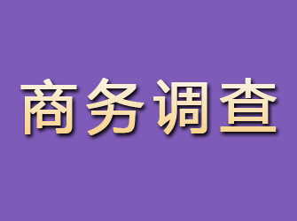 洛龙商务调查